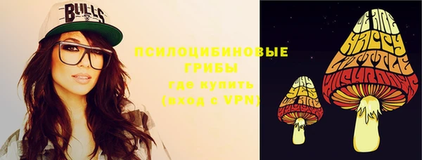 кокс Белокуриха