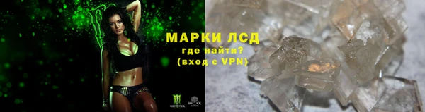 ALPHA PVP Беломорск
