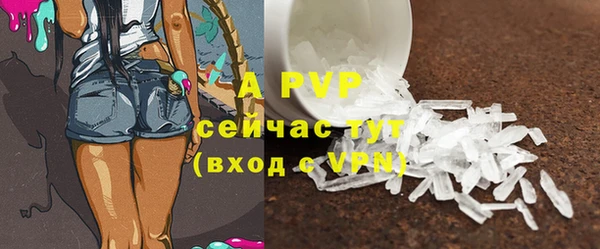 кокс Белокуриха